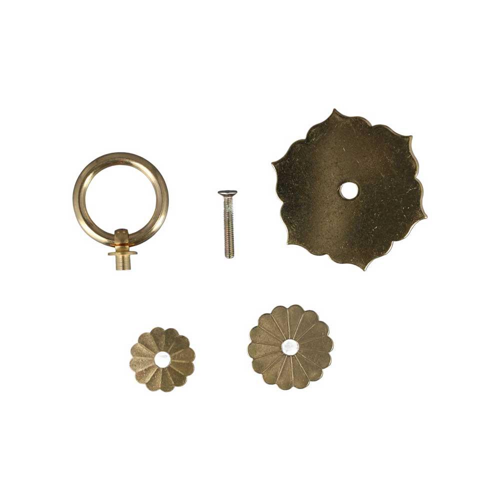 Tiradores y pomos para puertas - Furniture Hardware With Backplate reseña y precio